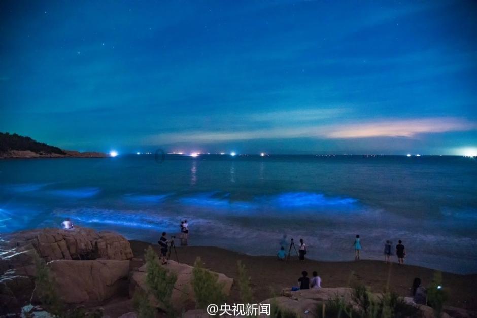 次元喵