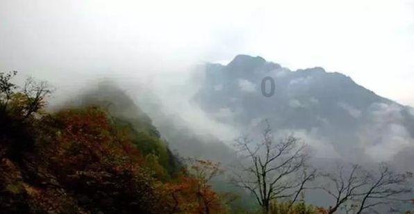 88影视