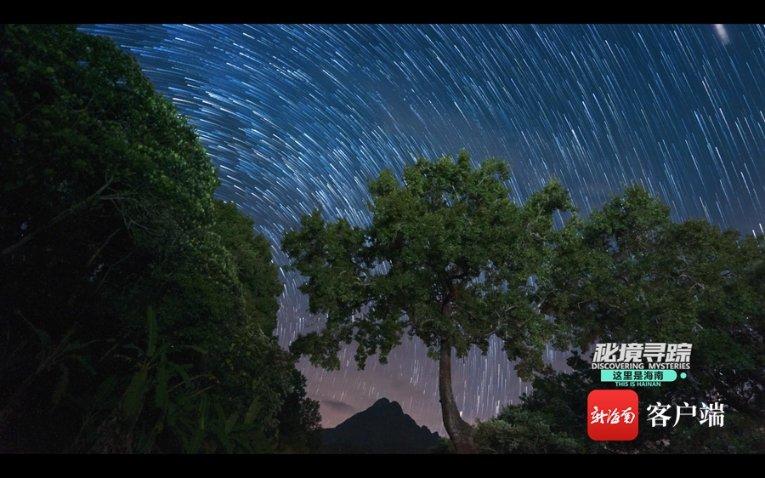 脑洞小老弟无实名认证