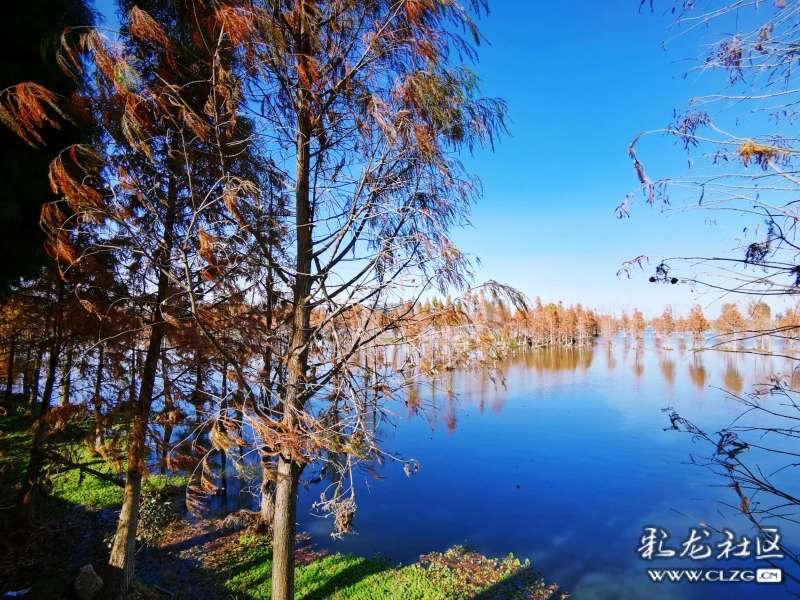 抖音怎么开启视频聊天美颜—企业智能化,引领变革专业知识问答网页