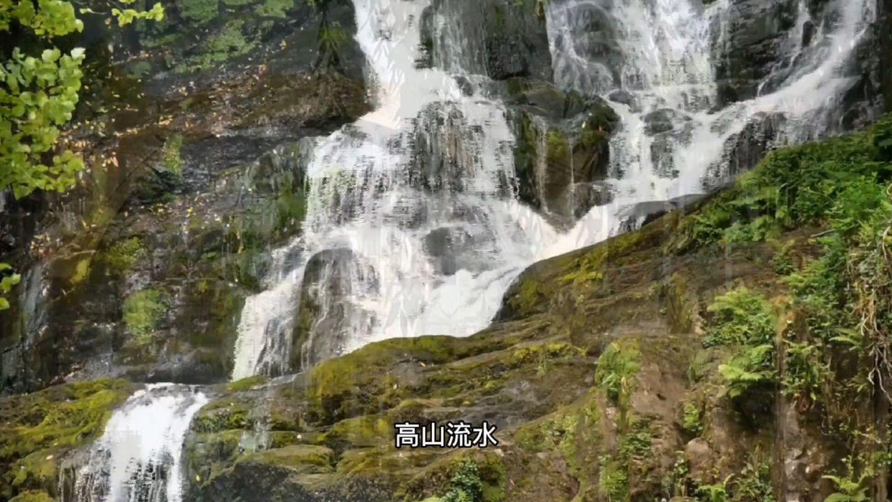探寻冷知识的货运面包车多少年才达到报废?平台 - 产生惊喜的知识资源