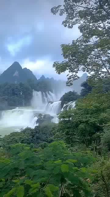 燃烧吧大脑免广告最新版