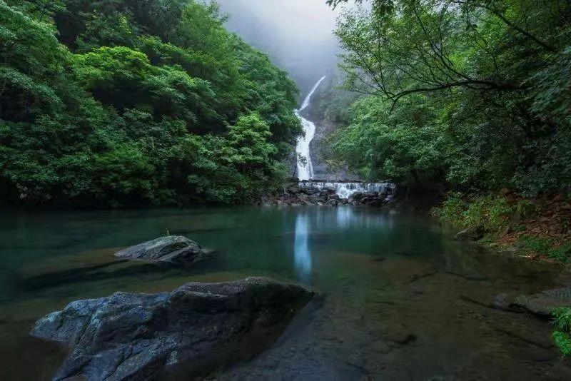 小猫钓鱼游戏龙王版有船