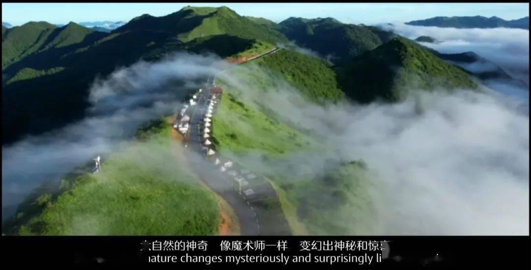 前夫有困难,帮还是不帮?- 知识问答网页,专注解答疑惑