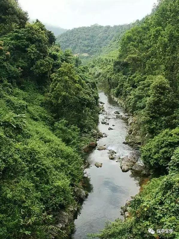 芦丁鸡能长多大